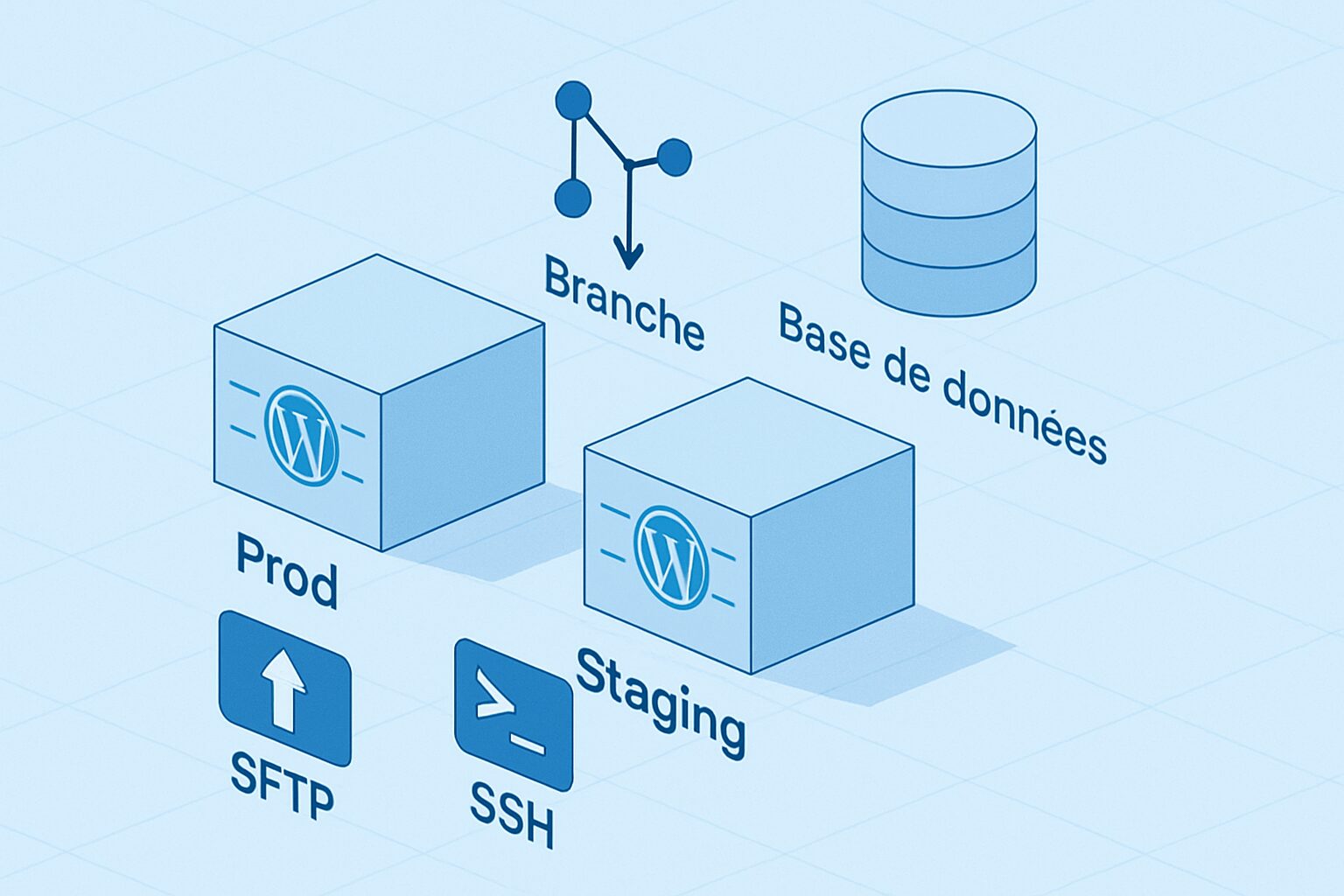 Schéma de mise en place d’un environnement de staging WordPress.