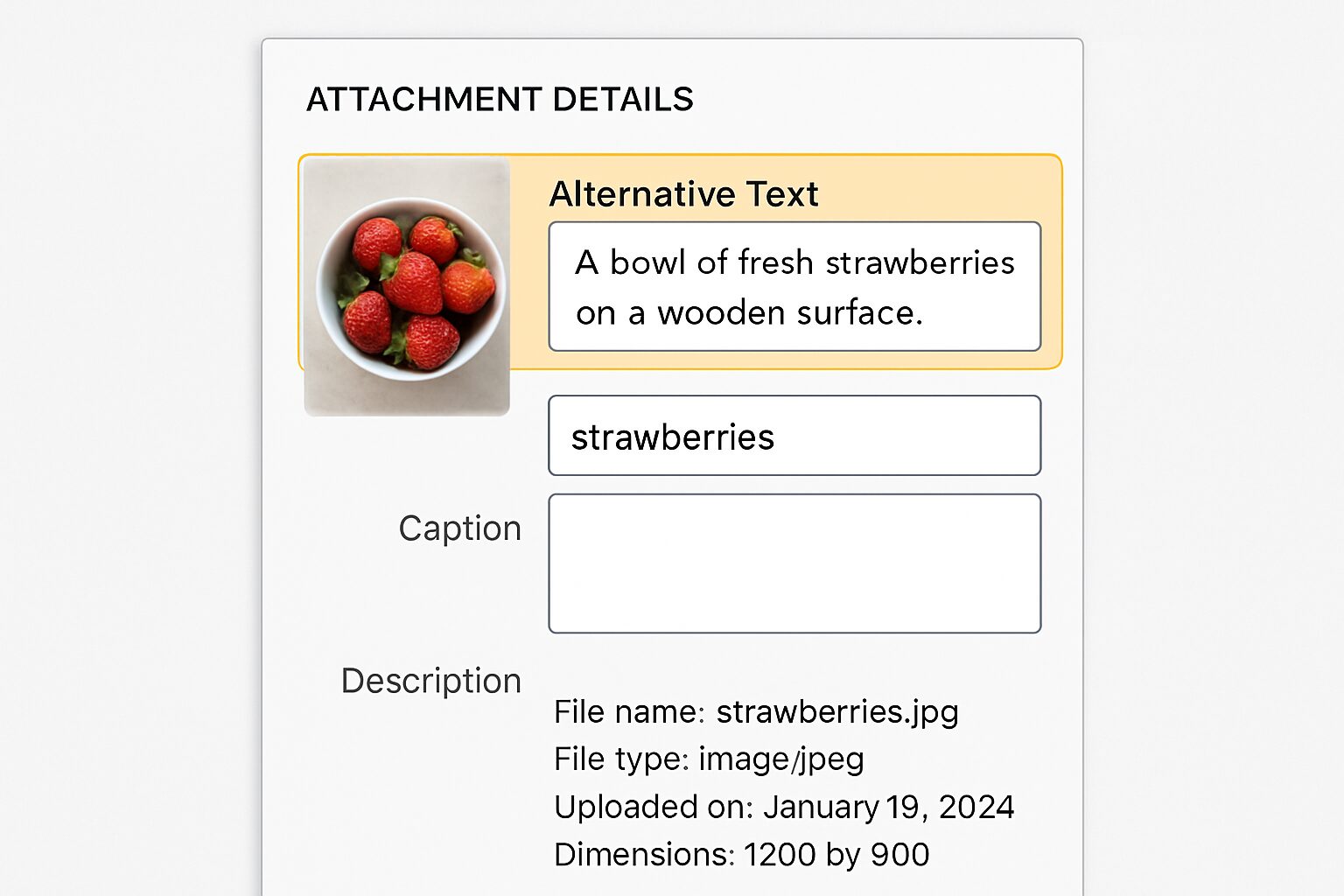 Champ texte alternatif (alt) mis en avant dans la médiathèque WordPress